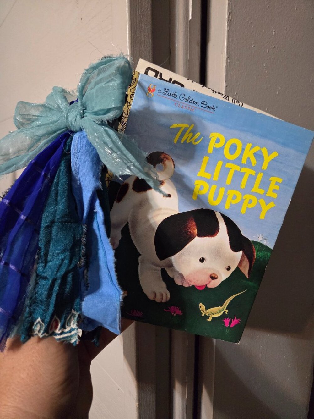 LGB poky puppy journal